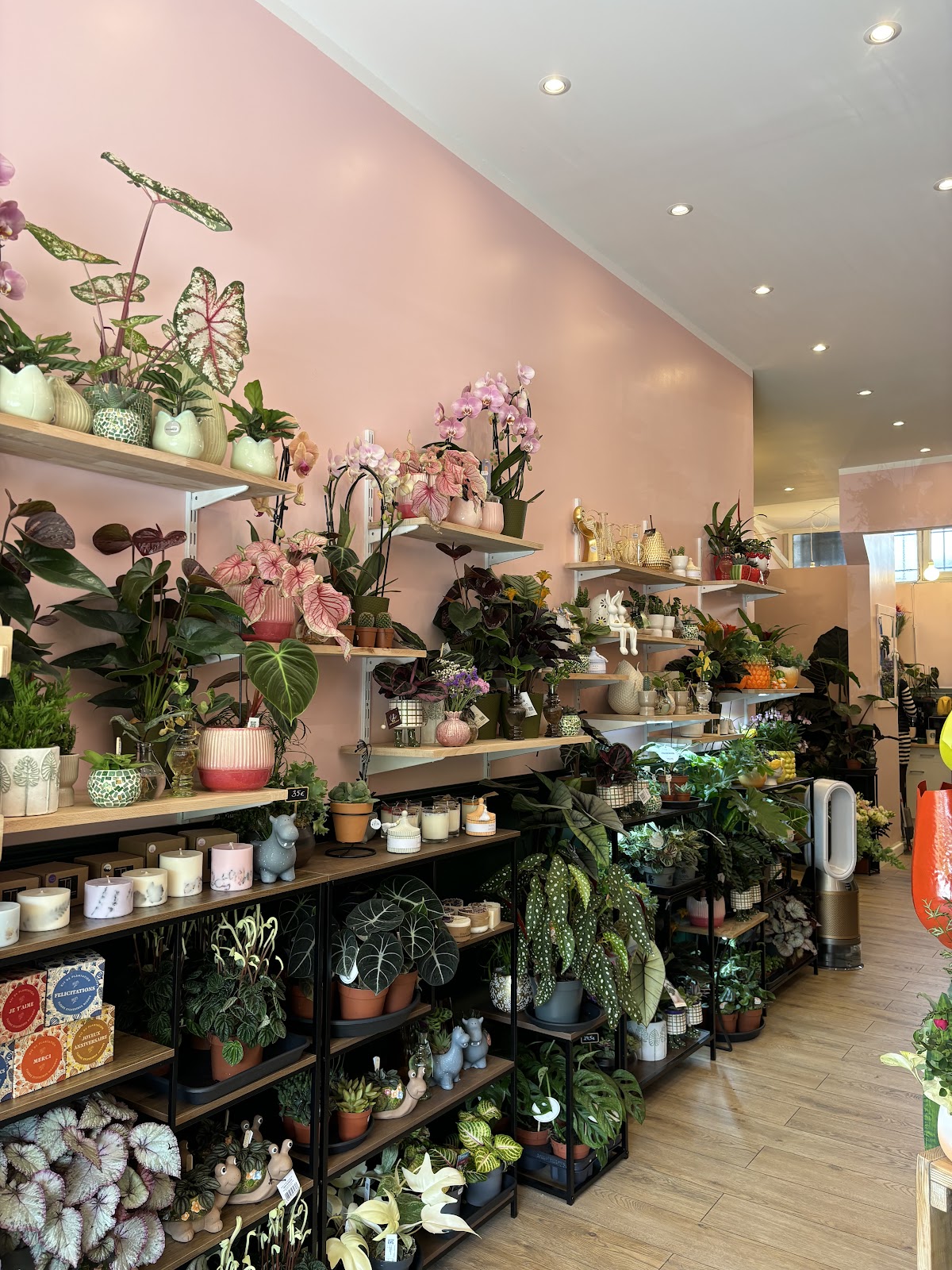 Fleurs et Jungle - photo 2